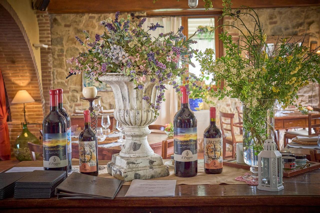 Il Poggio Guest House Celle sul Rigo ภายนอก รูปภาพ