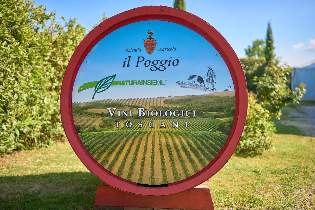 Il Poggio Guest House Celle sul Rigo ภายนอก รูปภาพ